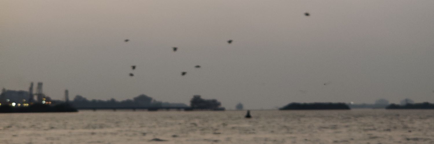 DPunathil's profile banner image