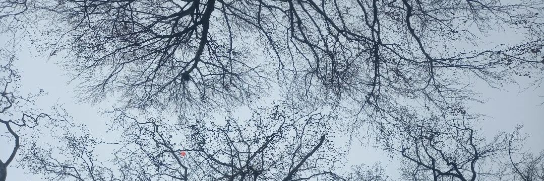 mahmutates's profile banner image