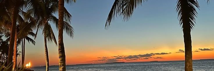 𝓏𝒶𝒾𝓃𝒶𝒷 banner