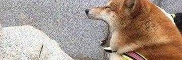 gabus2115's profile banner image