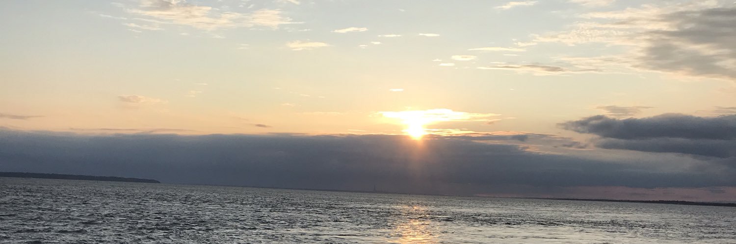 Carl holland banner
