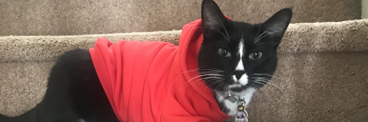 Jennifer Talbott, MD/MPH banner