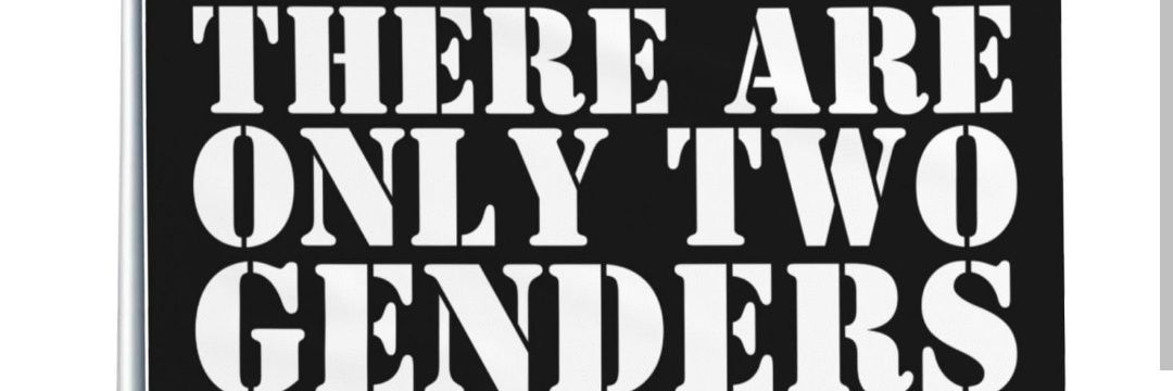 Dave Hernandez banner