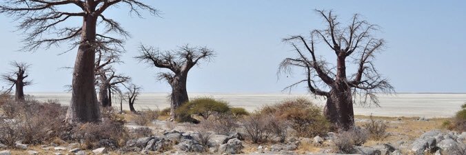 Dr Onalenna Neo, PhD banner
