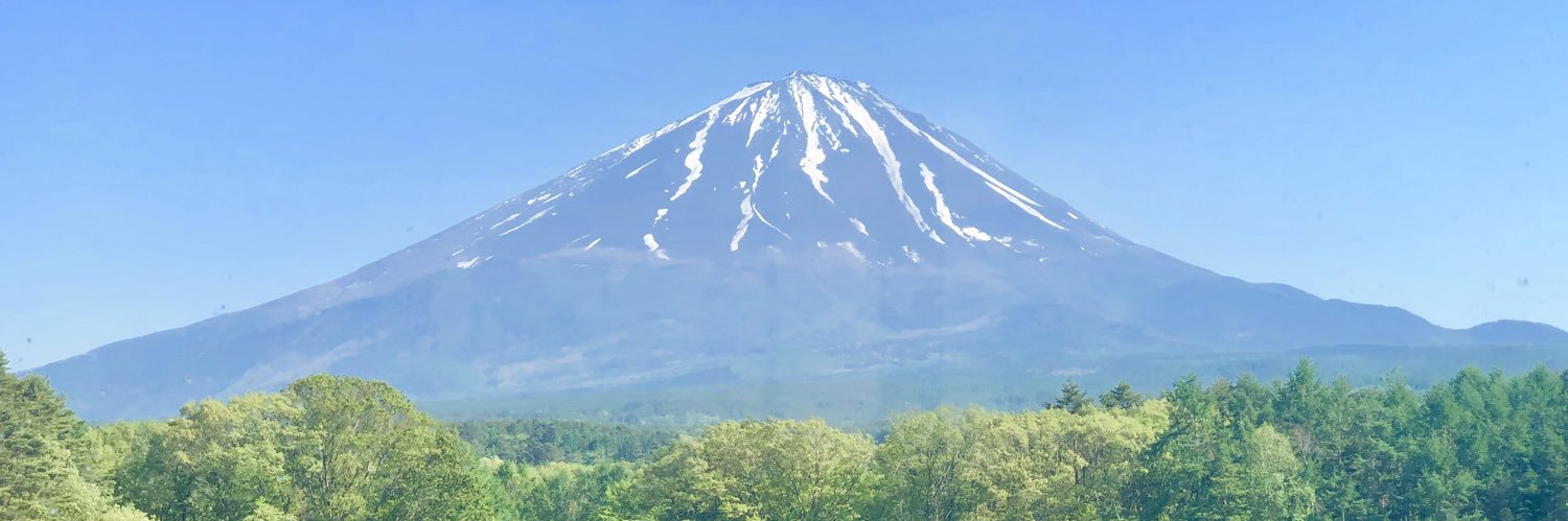 Dr Anas Nader banner