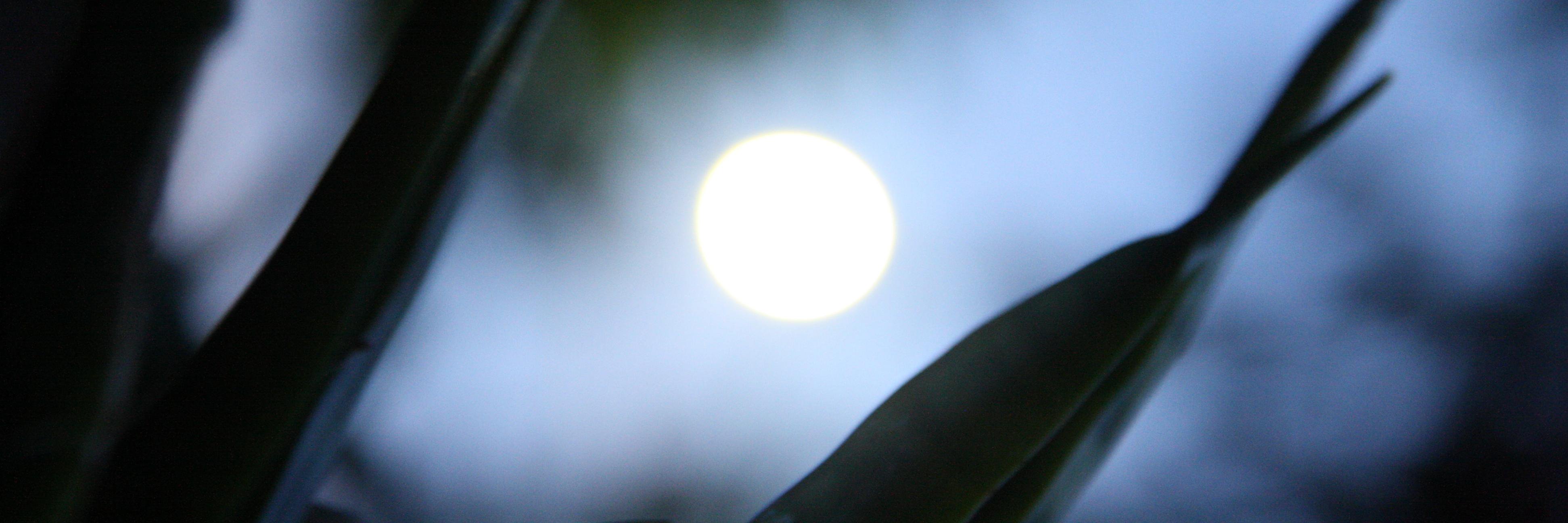 je_rezin's profile banner image