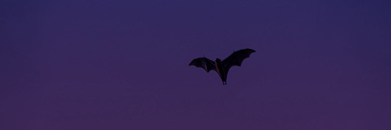 ab banner