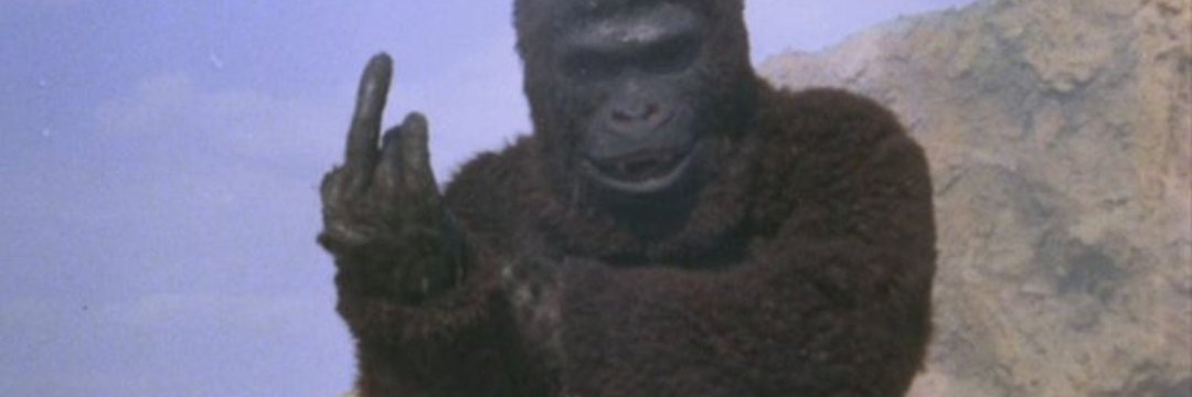 slog_sweep's profile banner image
