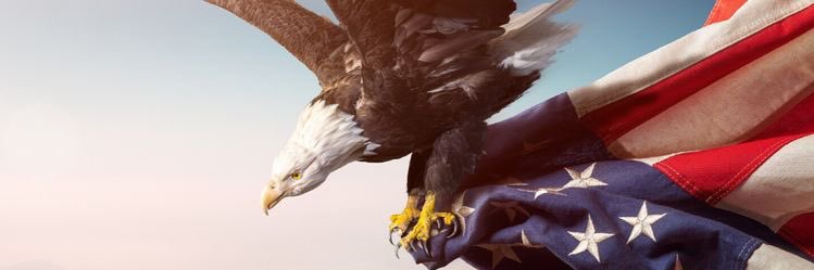 Sandi9199's profile banner image