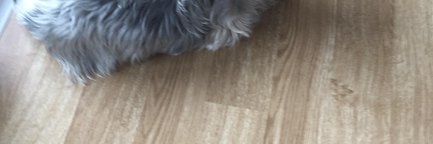 bubyb12's profile banner image