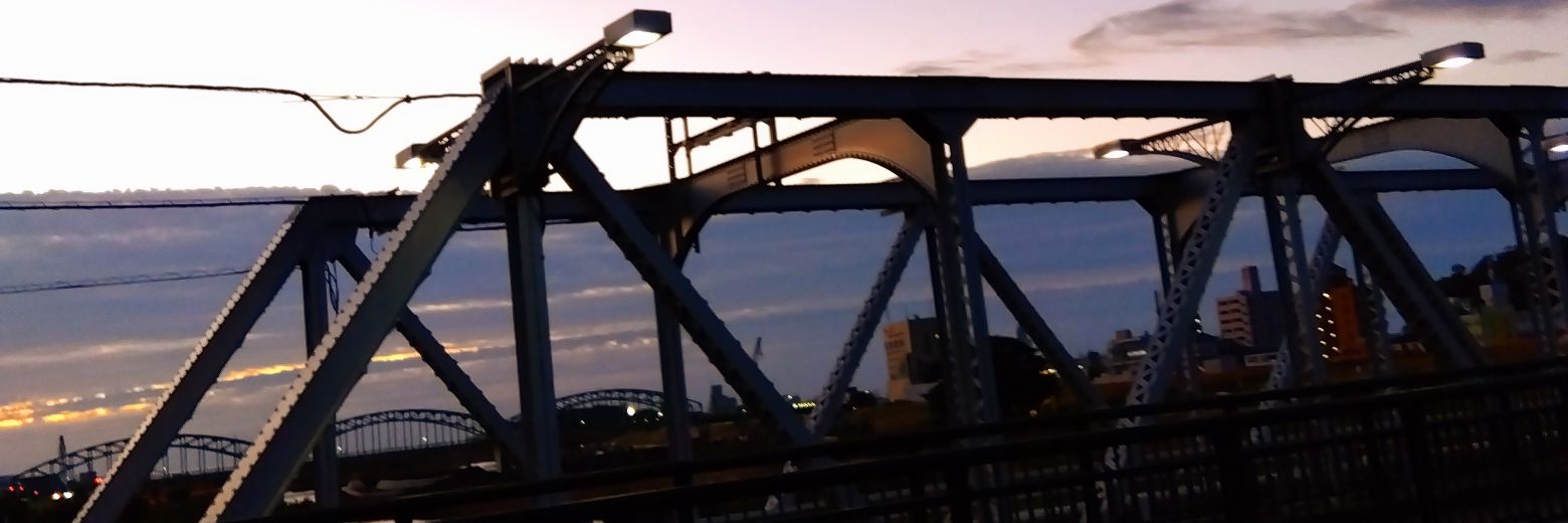 めろざぇもん banner