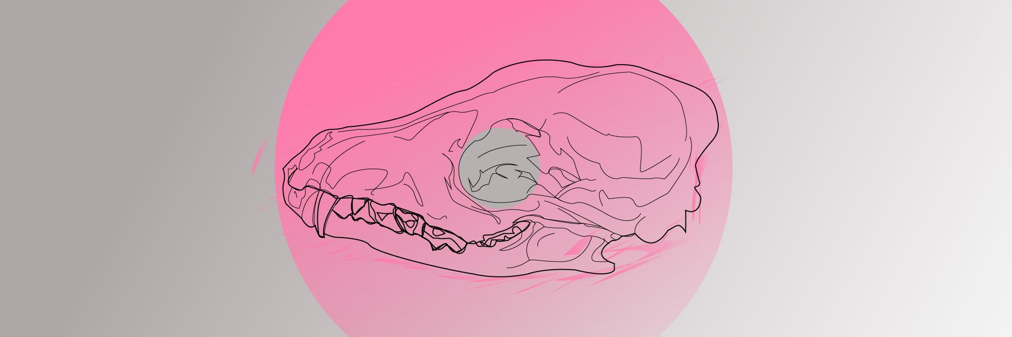 MistraScruff's profile banner image