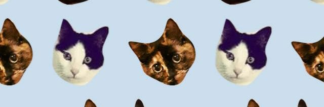 Cat_Lewis90's profile banner image