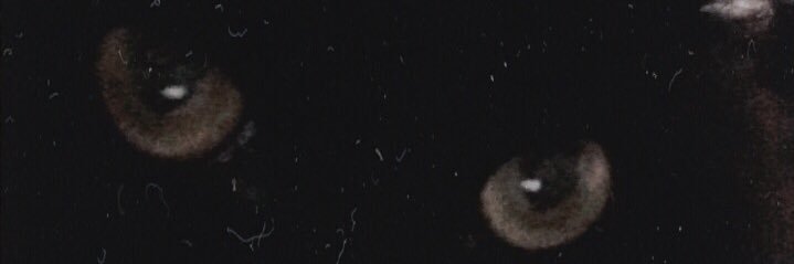 haniiwithlove's profile banner image
