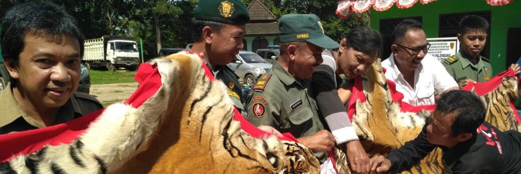 ardirisman's profile banner image