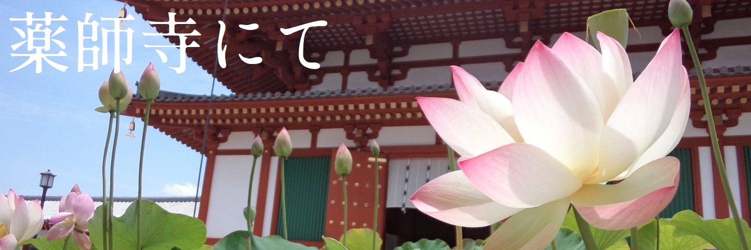 skycolorring's profile banner image