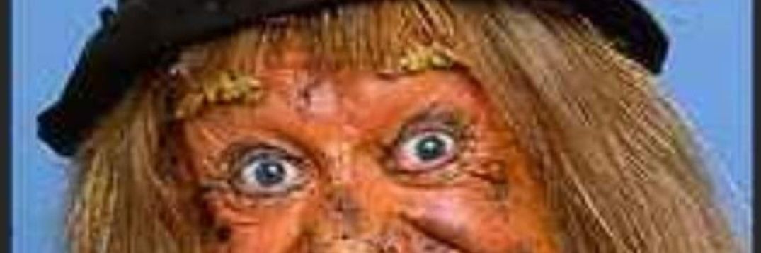 tigermarsh's profile banner image
