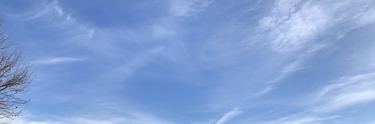 88vaindog's profile banner image