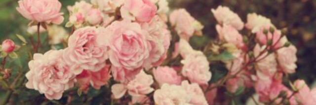 mmika_n's profile banner image