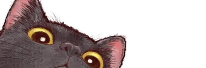 flormnz_'s profile banner image