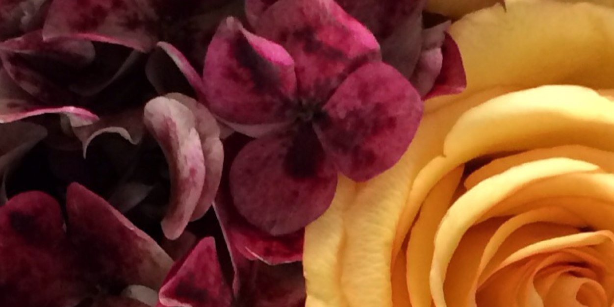 Mabedikian's profile banner image