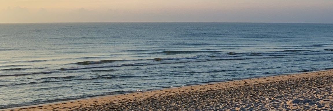 🌻 banner