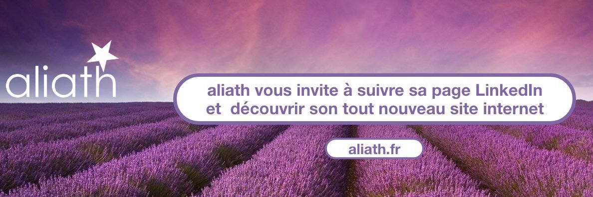 dominique druon banner