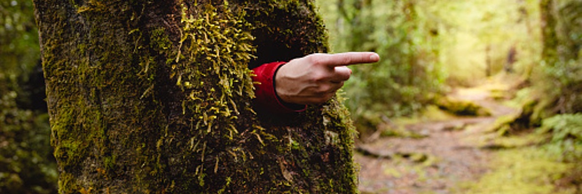 AniceeBauer's profile banner image