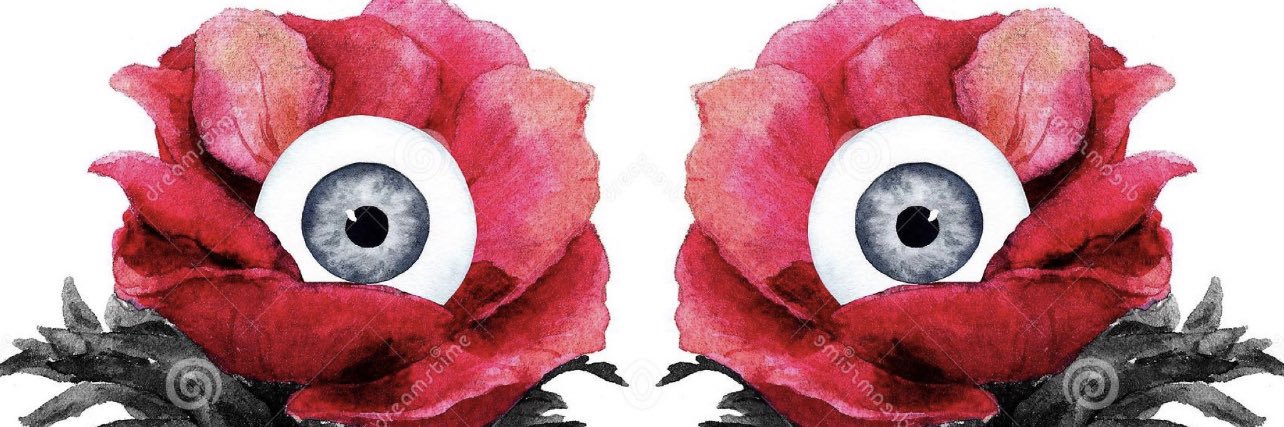rozhochk's profile banner image