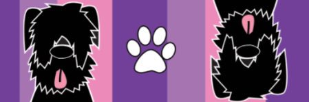 AliceFlota's profile banner image