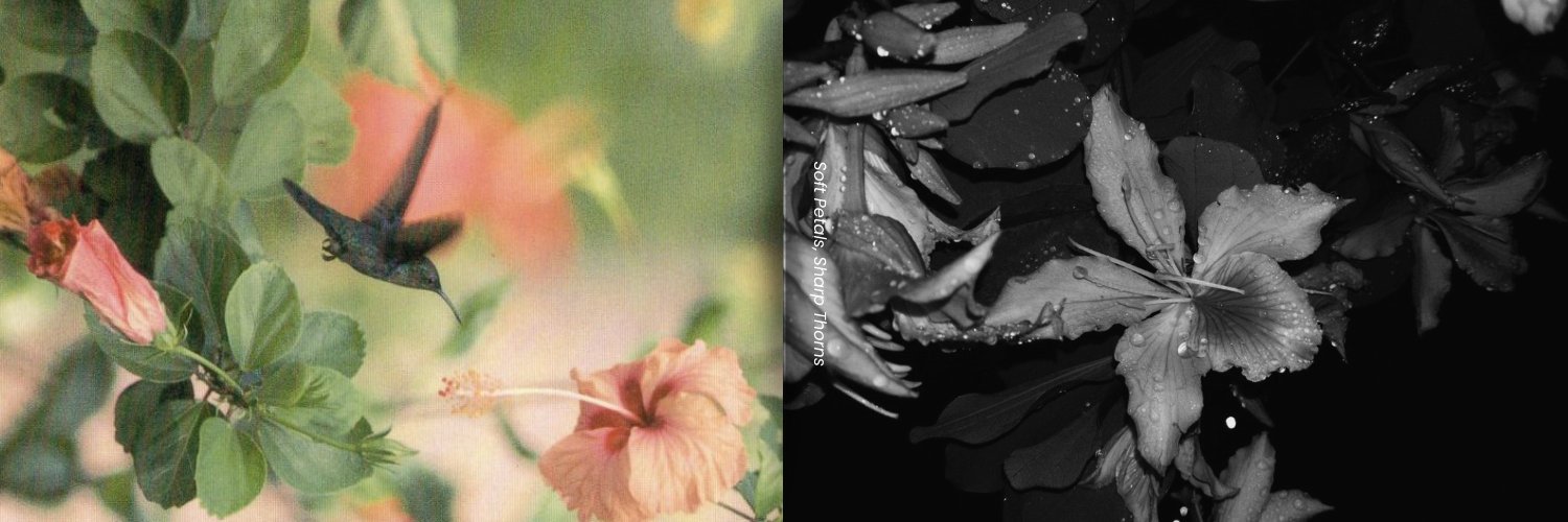 ❤︎ banner