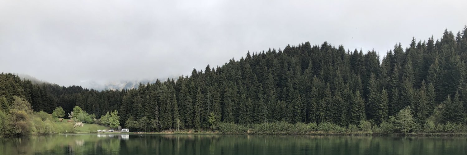 rkyplt's profile banner image
