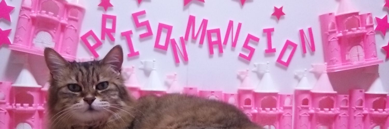 月飼い✩まり banner
