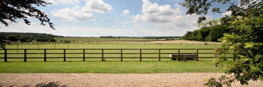 KFBasingstoke's profile banner image