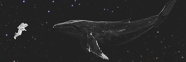 afufa_'s profile banner image