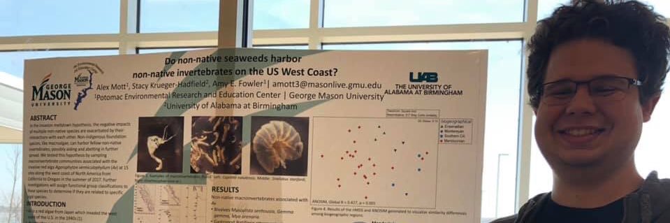 Alexander W Mott banner