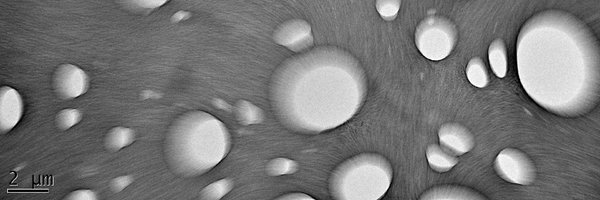 FerVChem Profile Banner