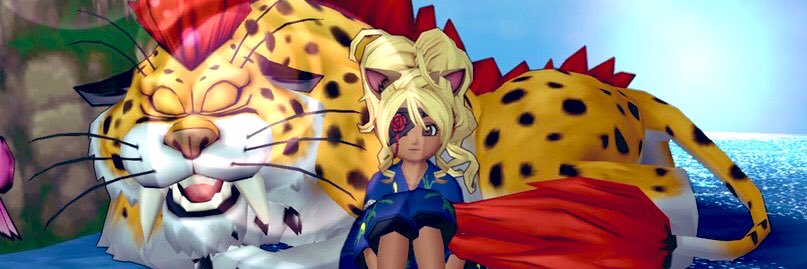 Catvape1's profile banner image