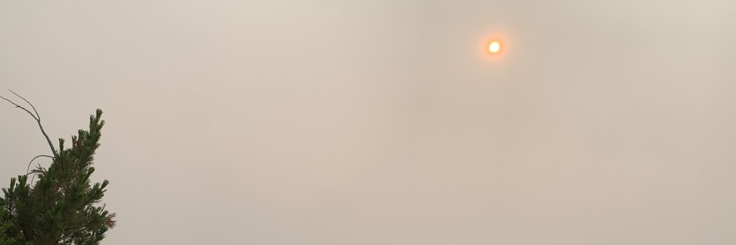 retrogradebear's profile banner image