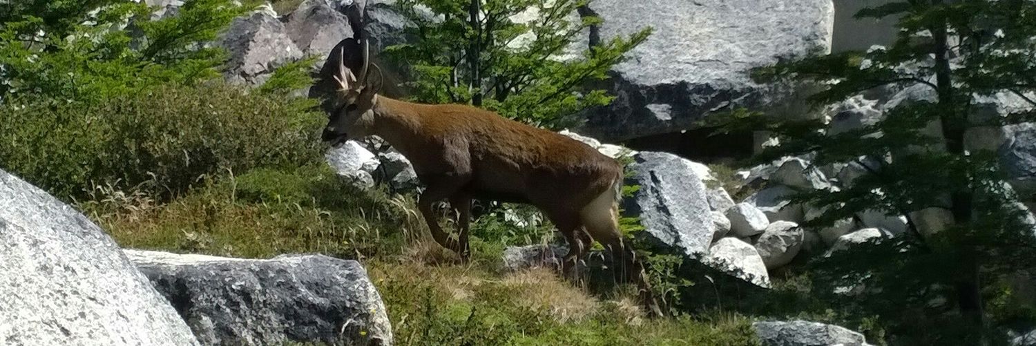 Andrés del Rio Ojeda banner