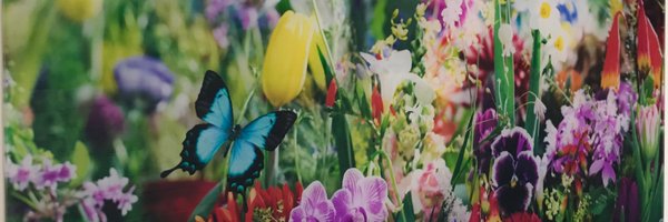 hornayaka Profile Banner