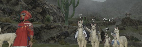 midd_ff Profile Banner