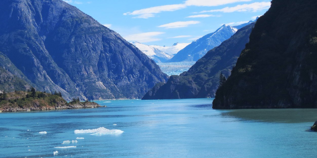 Matt Starrett banner