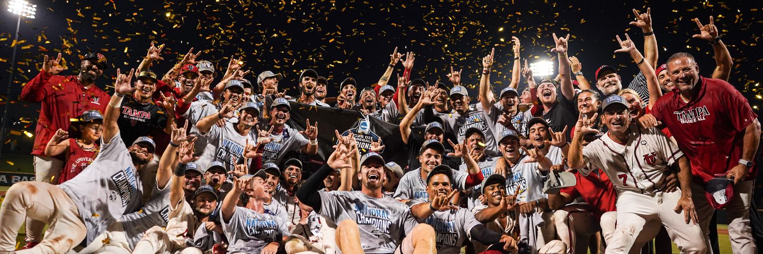 Tampa Baseball banner