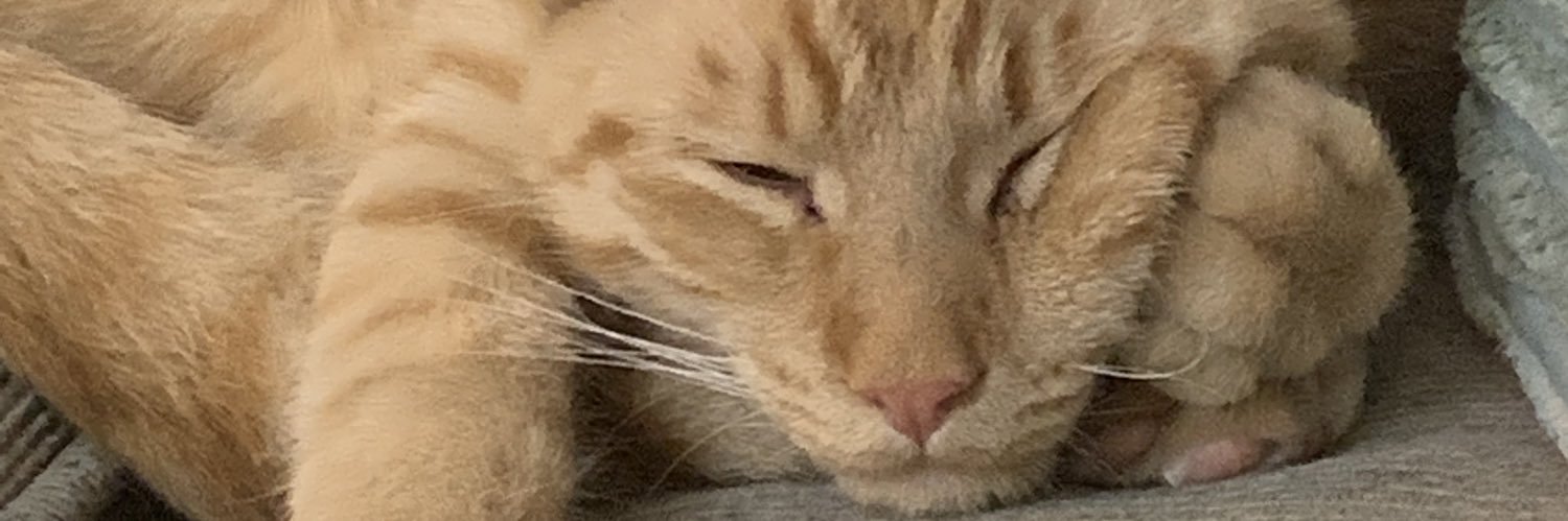 Miami_Shark (Evil) banner