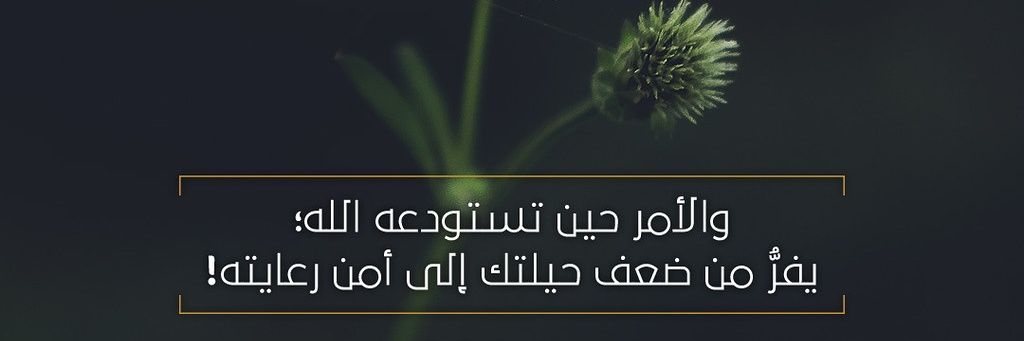 hsssh06's profile banner image