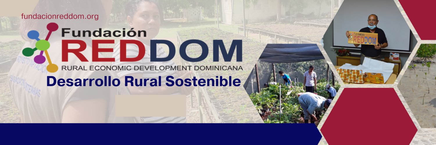 FundacionREDDOM's profile banner image