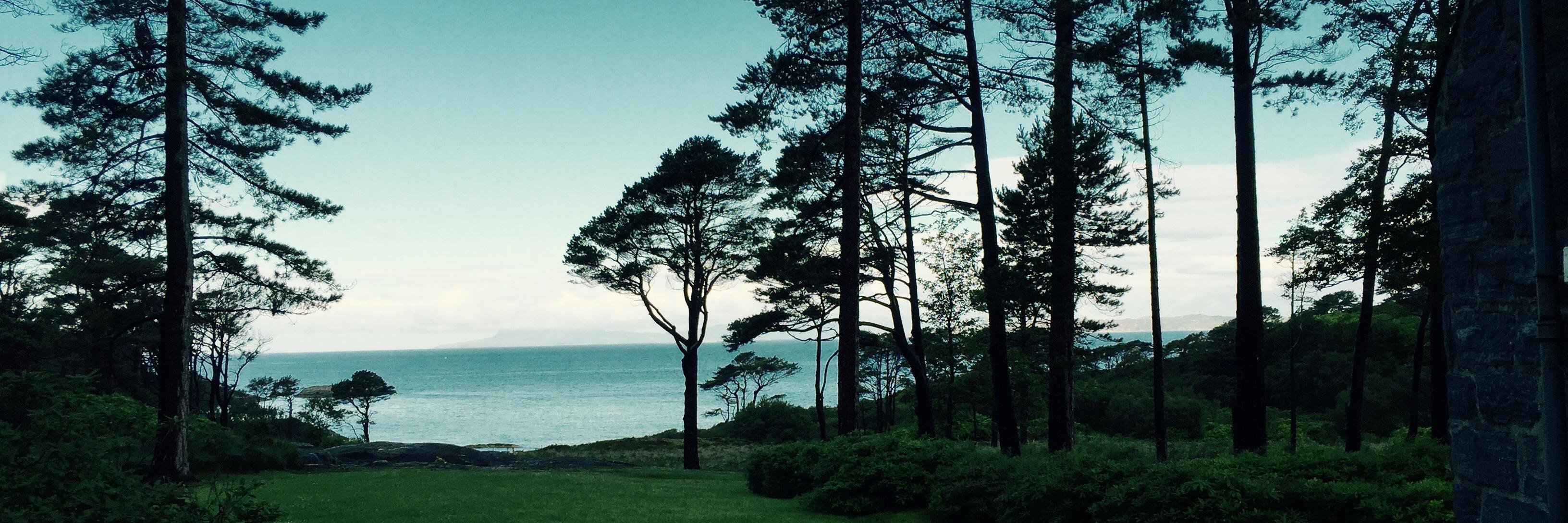 Steve Parente banner