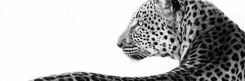 fttvv_'s profile banner image