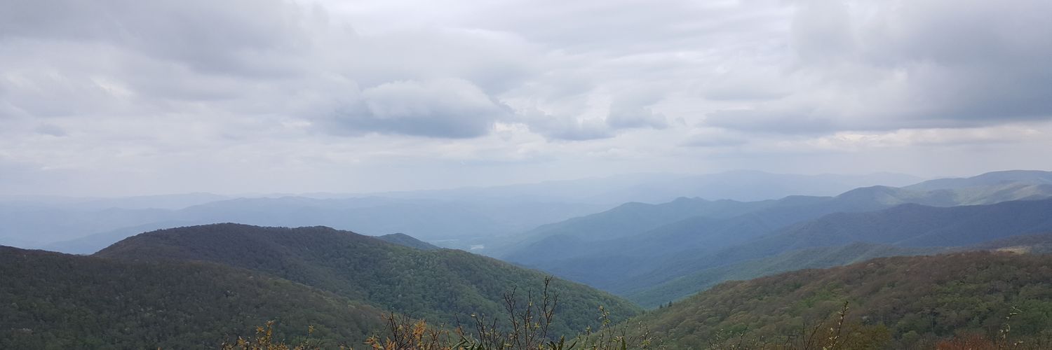 RoosterOnTheRun's profile banner image